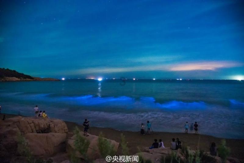 高达83%的叙利亚日产石油被美军盗取，如何看待美军这一行为？游戏画面